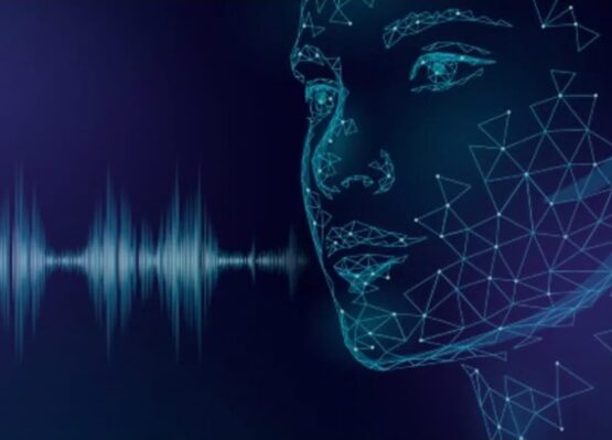 embedded-voice-ai-development