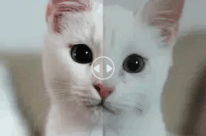 Attached image file ?brizy media=wp 8972983f085abc1de5725f73c61cb03d
