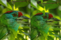 Attached image file ?brizy media=wp dd4952b3cf41a3d09e9521cb602c3d0e