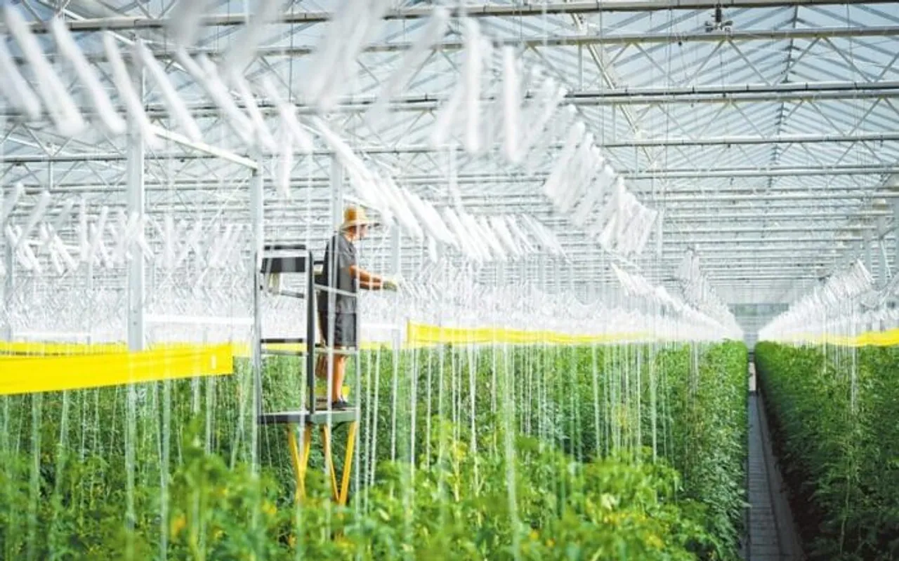 Connected greenhouse ventilation equipment operating among crop rows