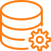 icon data