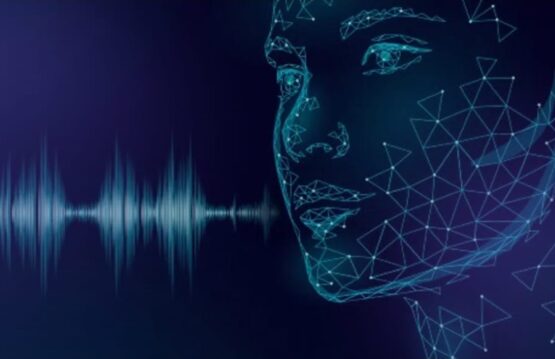 voice-ai-solutions
