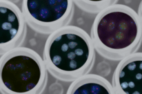 image processing pic1