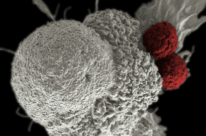 image processing pic3