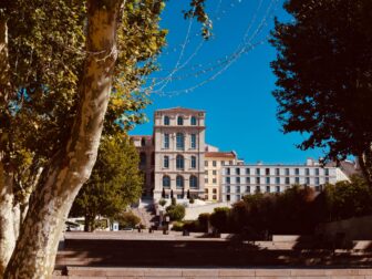 pexels shoeb khan 2973323 scaled